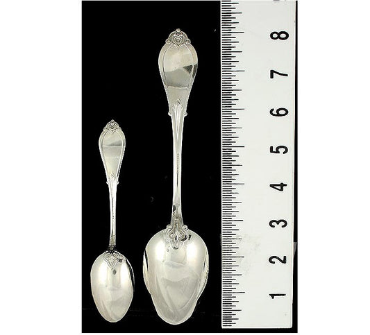 Sterling Silver Whiting Armor 1871 12 Teaspoons & 1 Tablespoon