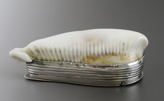 Antique Sterling Silver Mounted Cowrie Shell Snuff Box 18th Century