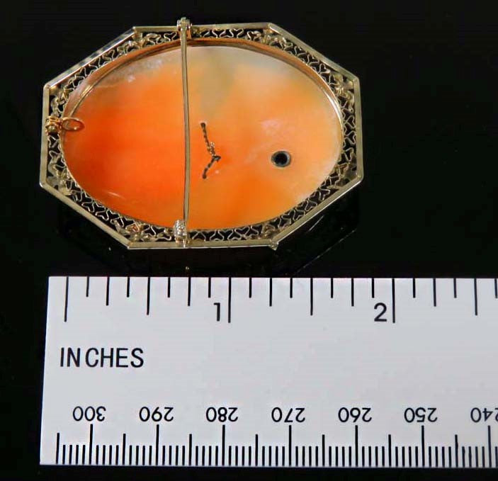 First Quarter 1900's American 14k White Gold Cameo Pin/Pendant w/ Diamond