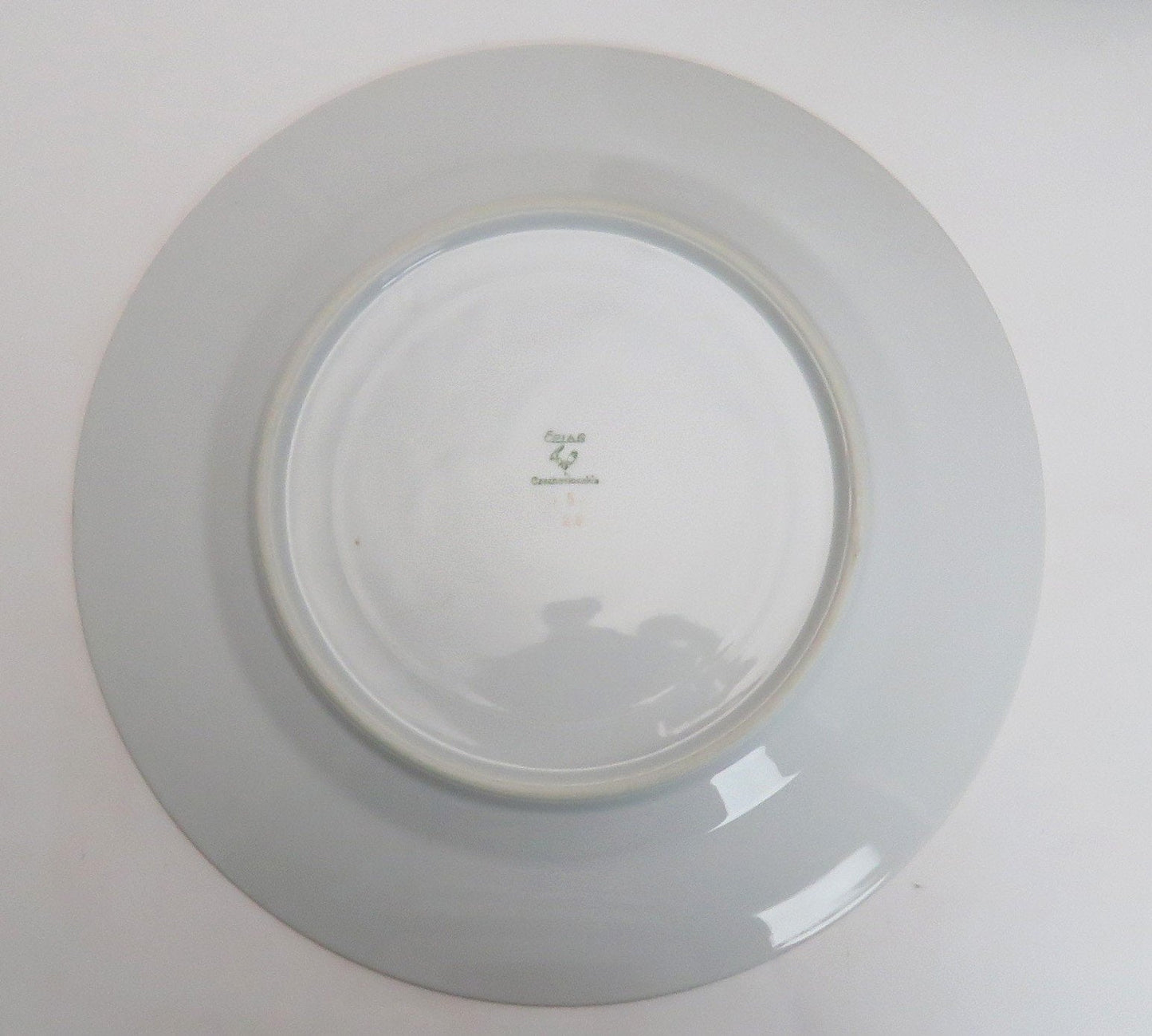 Lovely set 12 Czech Epiag 9561 Floral Dinner Plates c1930's