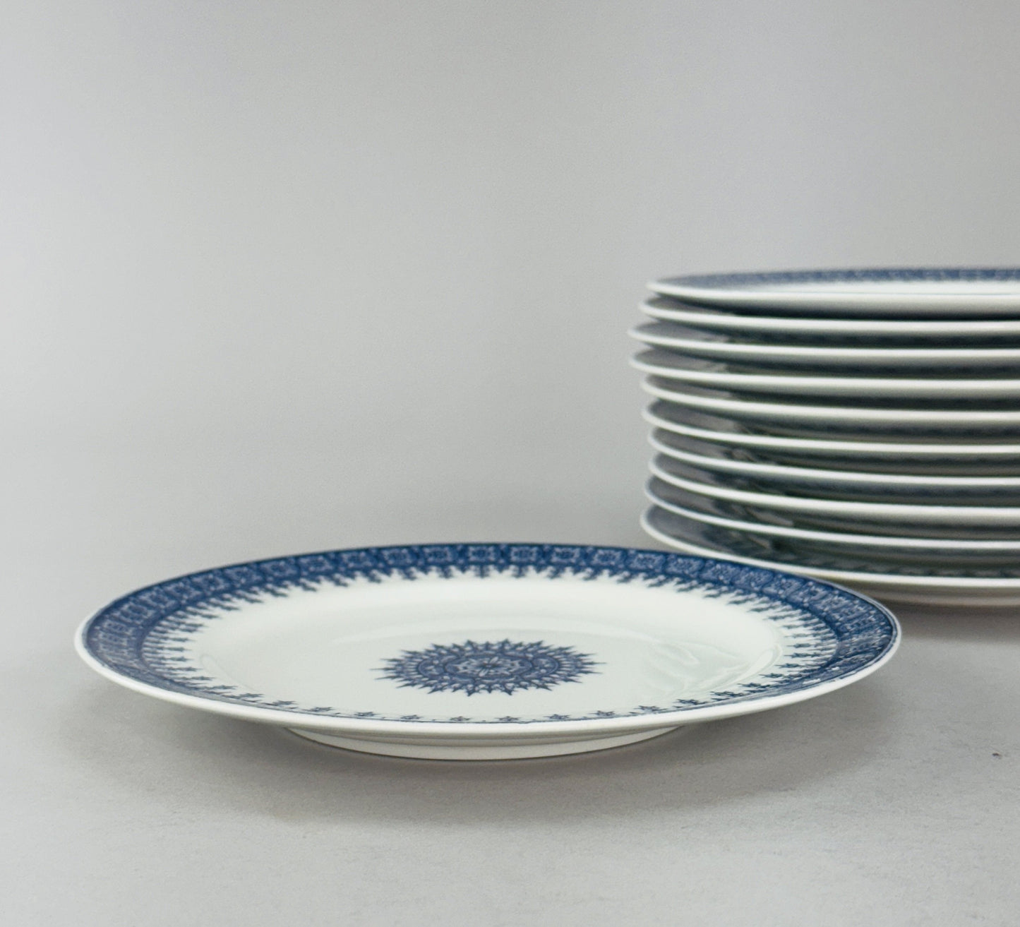 11 Antique Royal Worcester 7 Inch Plates Blue and White 1889