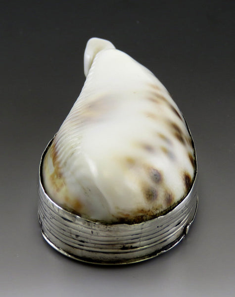 Antique Sterling Silver Mounted Cowrie Shell Snuff Box 18th Century