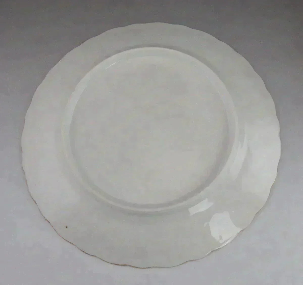 Superb set 5 Antique European White Gold Gilt Porcelain 9 1/2” Plates