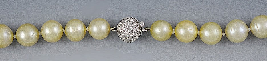 Lovely South Sea Graduated Golden Pearl Strand 18K White Gold Diamond Clasp