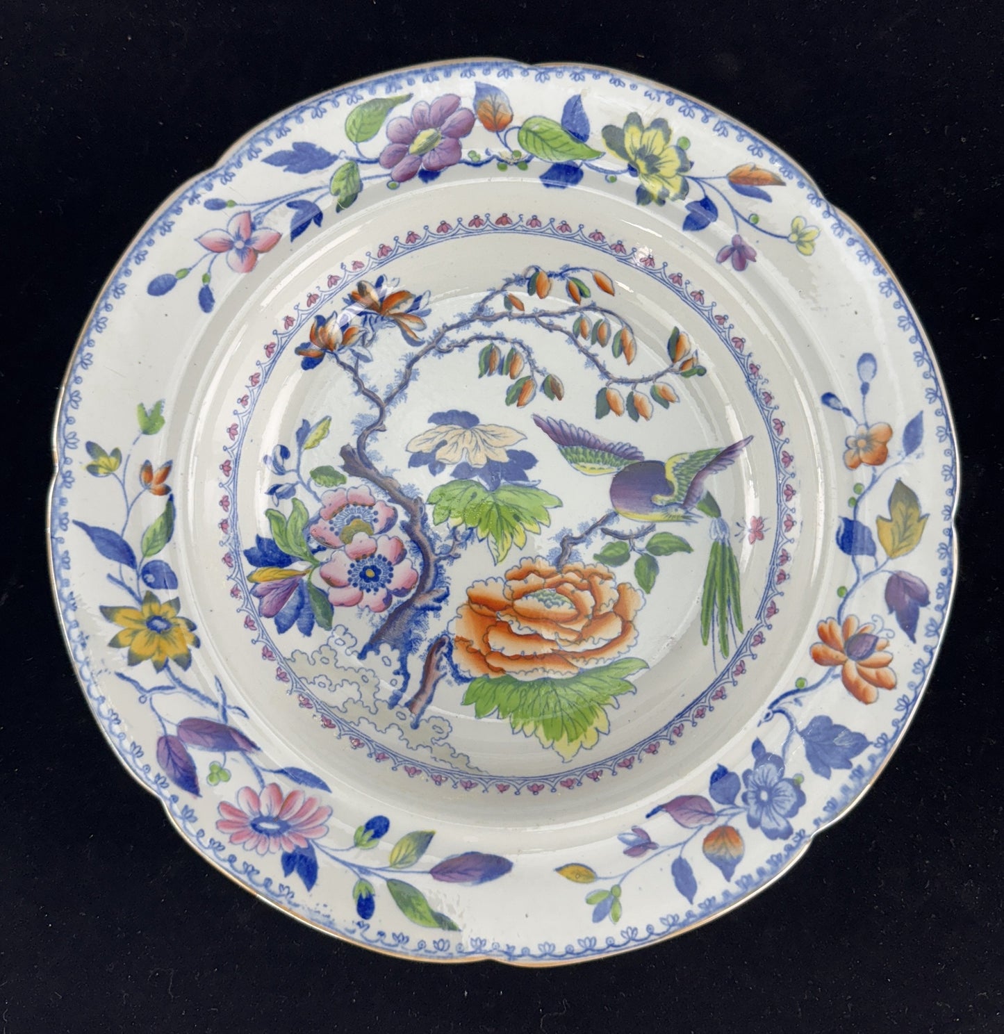 Set 12 c1815 Georgian English Davenport Flying Bird Wide Rim Soup Bowls 9.5"