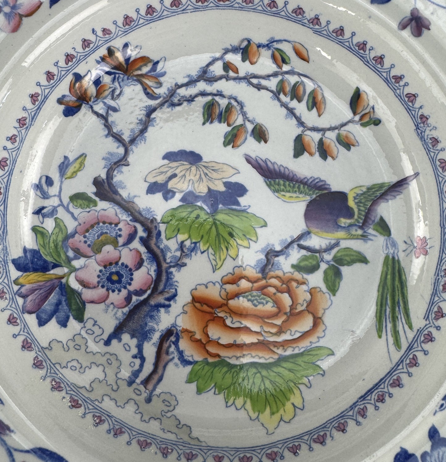Set 12 c1815 Georgian English Davenport Flying Bird Wide Rim Soup Bowls 9.5"
