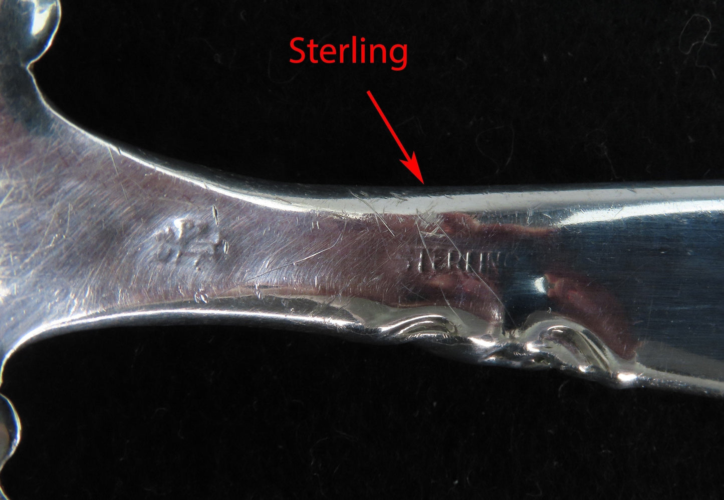 c1880s Whiting Sterling Silver Roses and Scrolls Serving Platter Stuffing Spoon