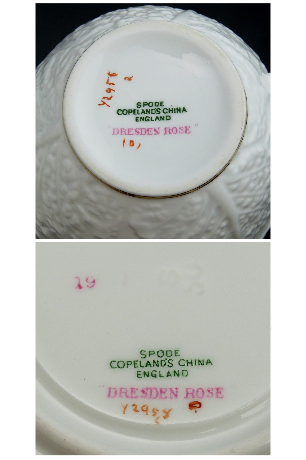 6 Tea Cups & 6 Saucers English Porcelain Copeland Spode Dresden Rose Savoy