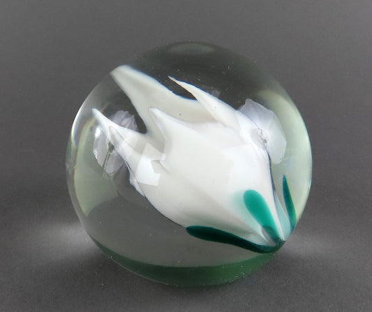 Elegant Hand-Blown Glass Round Paperweight White Tulip Angled