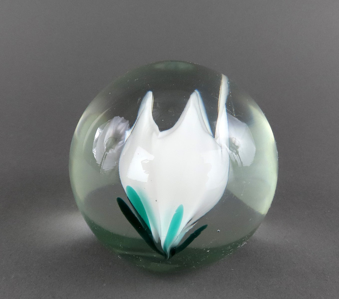 Elegant Hand-Blown Glass Round Paperweight White Tulip Angled