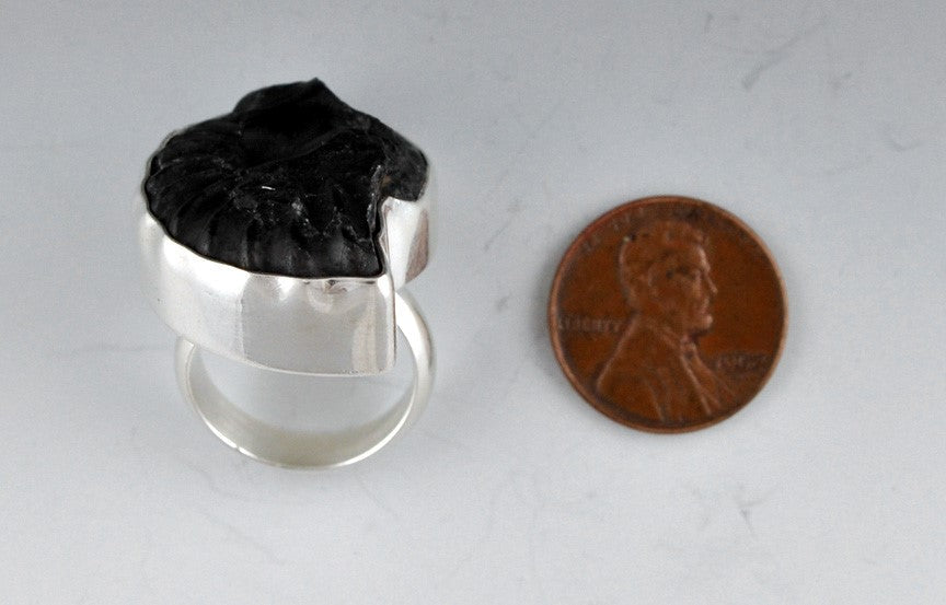 Neat Sterling Silver Trilobite/Ammonite Fossil Stone Ring Size 4