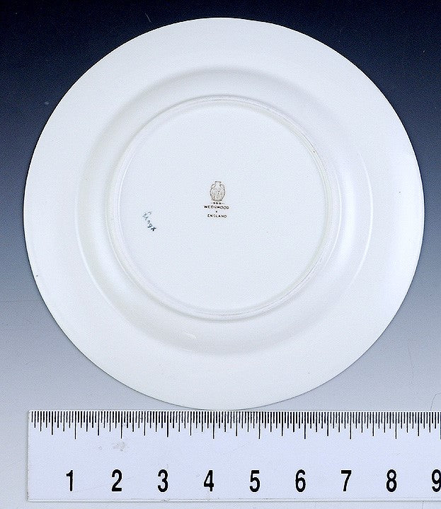 6 Wedgwood English Porcelain Rose and Leaf Border Luncheon Plates