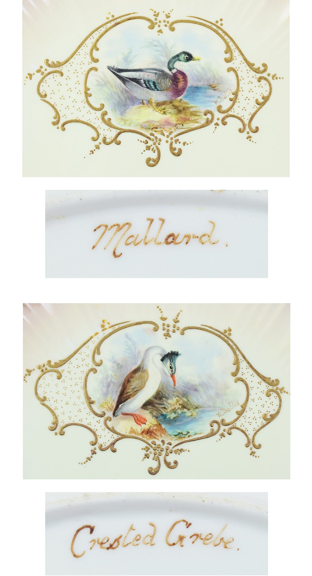 12 Bodley Hand Painted Game Bird Porcelain Plates