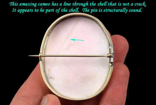 1840-70s 14K Yellow Gold Carved Pink-White Shell Cameo Pin w/ Young Man Profile