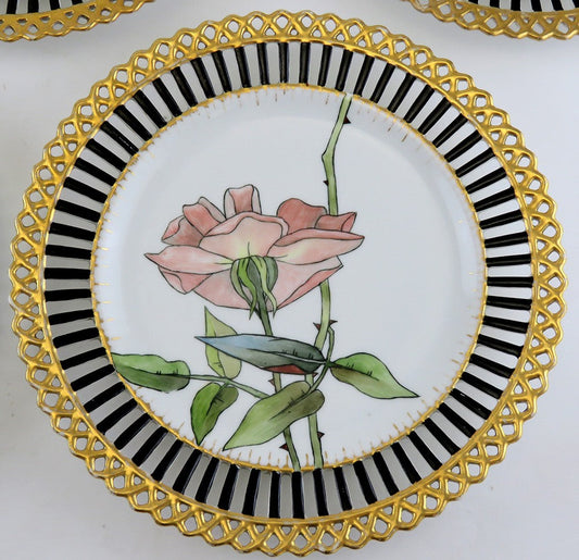 Elegant set 5 Antique Hand Painted Floral Reticulated Gilt 9" Plates