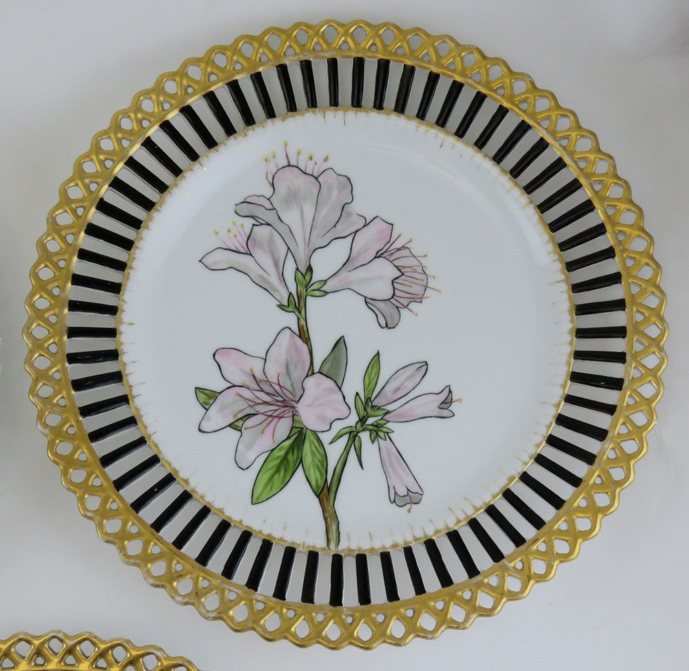 Elegant set 5 Antique Hand Painted Floral Reticulated Gilt 9" Plates