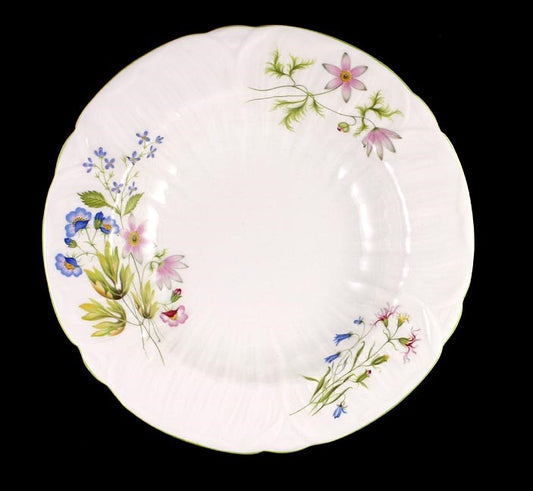 8 Shelley Bone China Wild Anemone Salad Soup Bowls