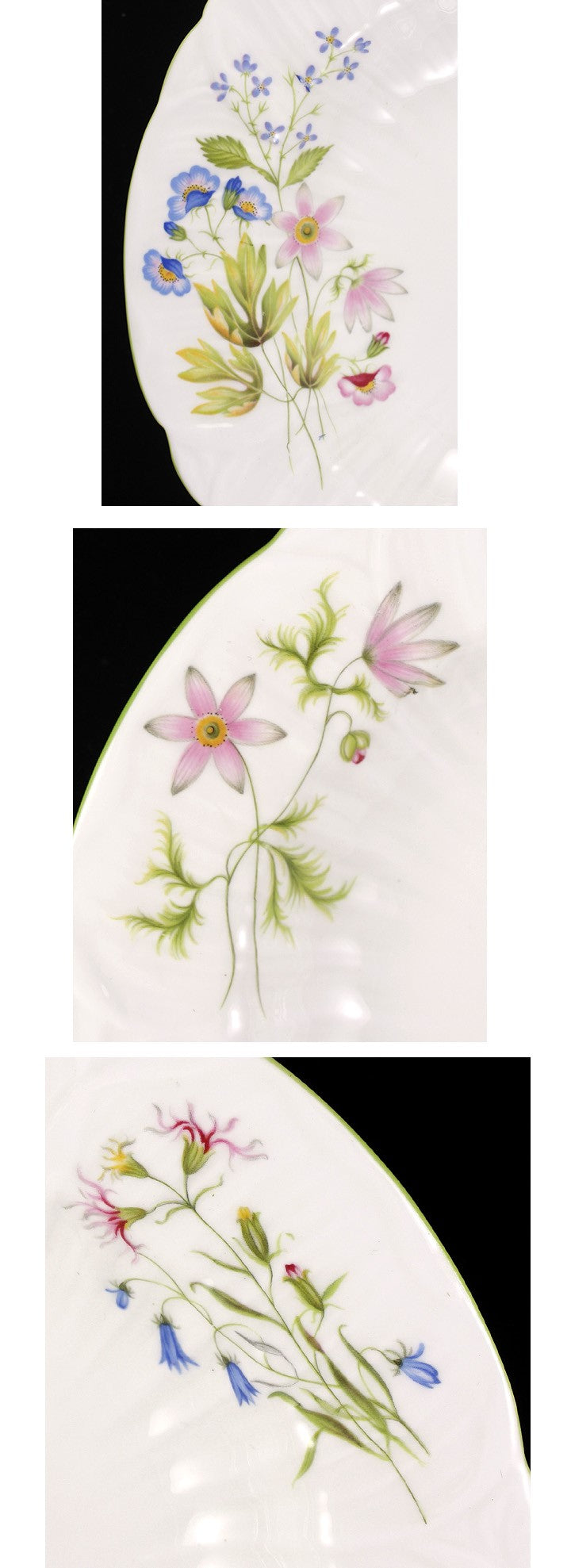 8 Shelley Bone China Wild Anemone Salad Soup Bowls