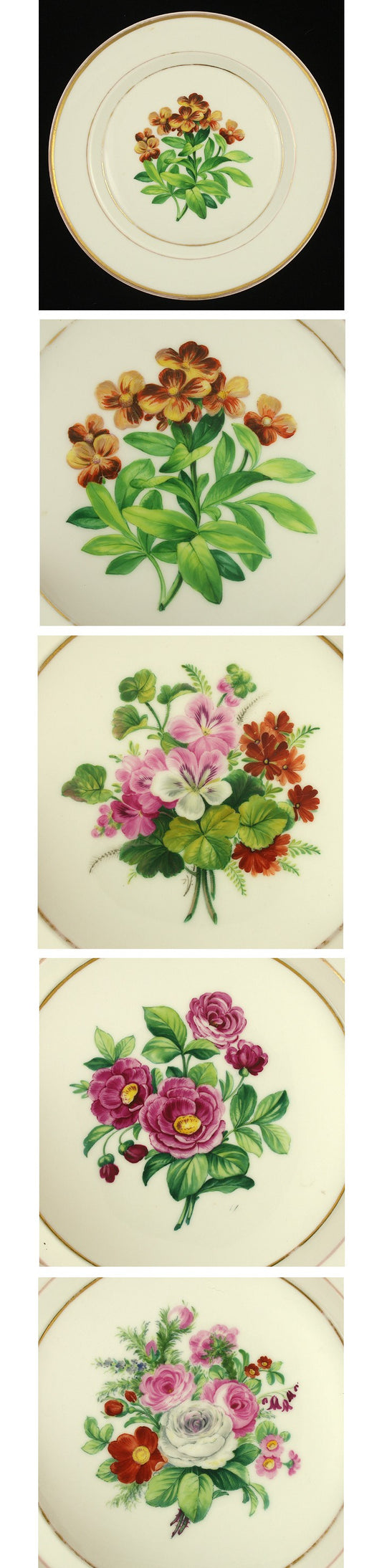 9 Colorful German KPM Porcelain Botanical Floral Plates
