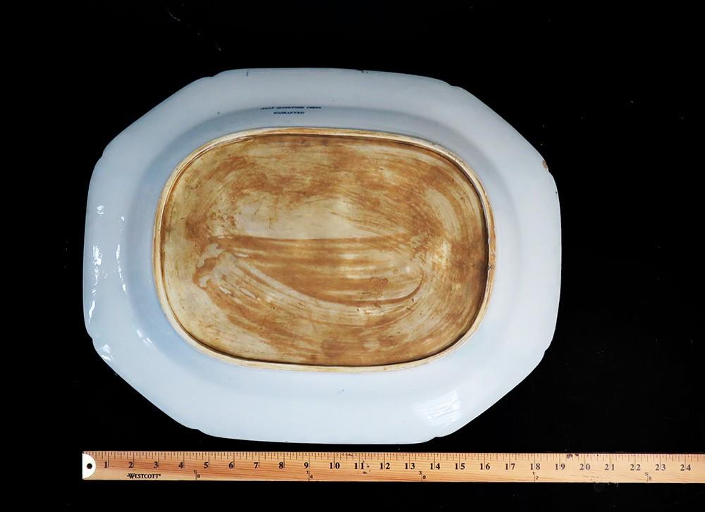 Rare c1840s English Ironstone Large Serving Platter w Grasshopper Design