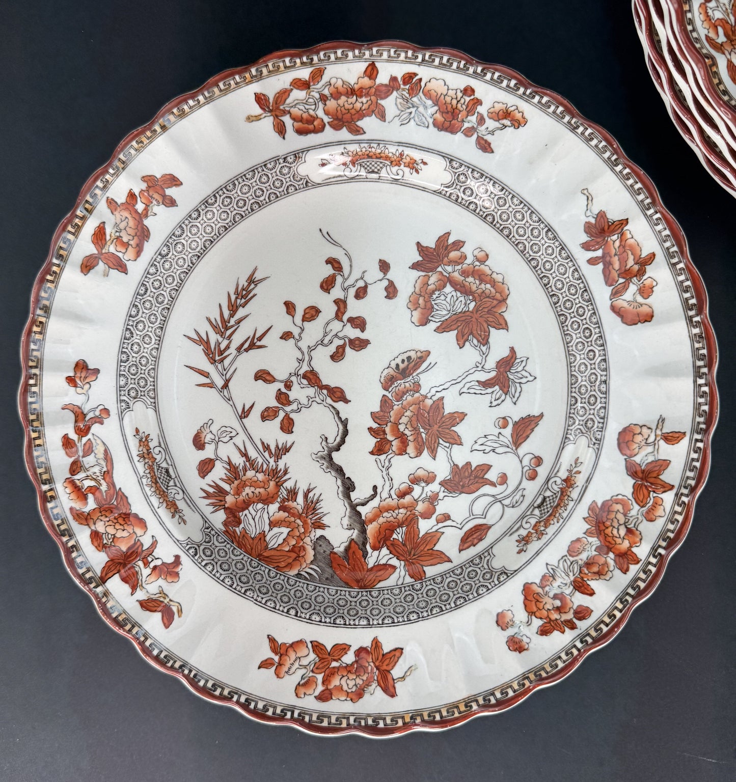 6 Large Old Copeland Spode India Tree dinner plates 10 1/4 inches