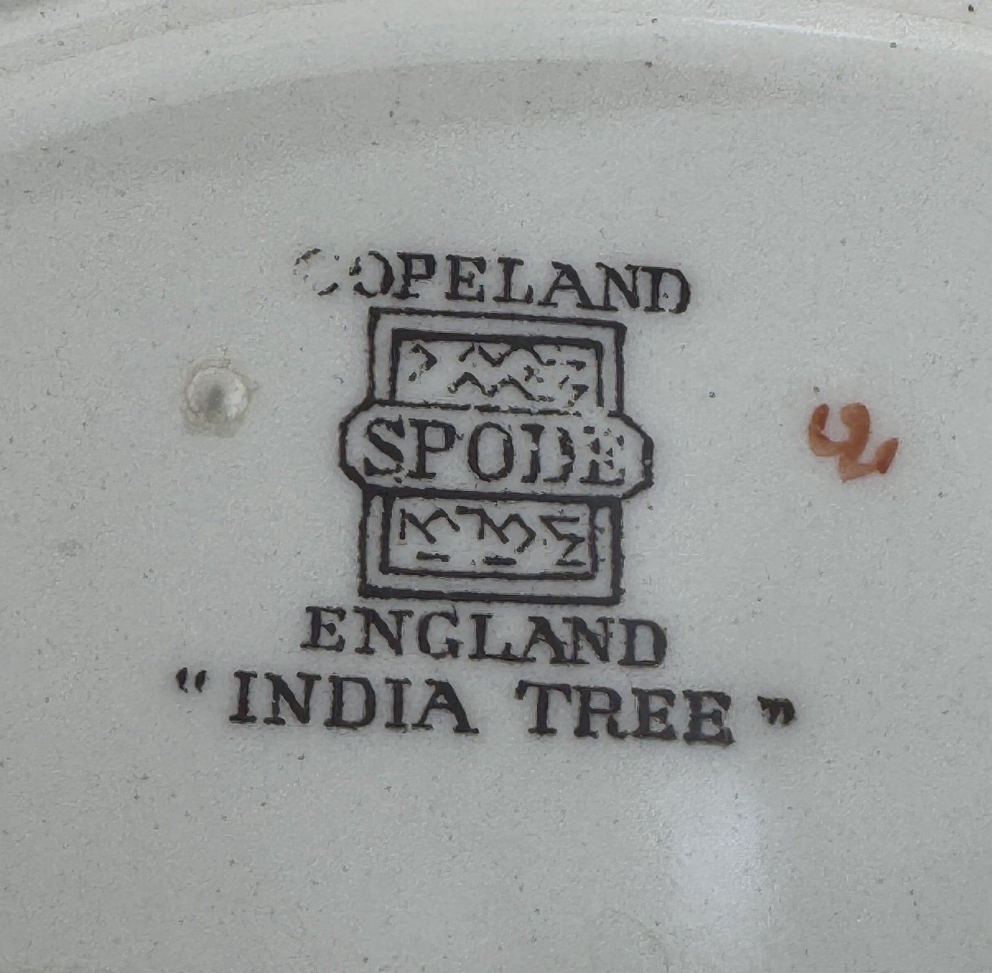 6 Large Old Copeland Spode India Tree dinner plates 10 1/4 inches