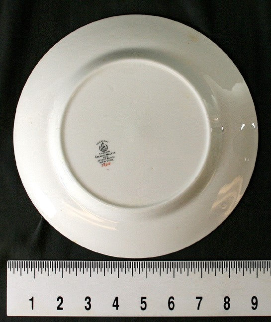 12 Finest Quality George Jones Porcelain Floral Lunch Plates