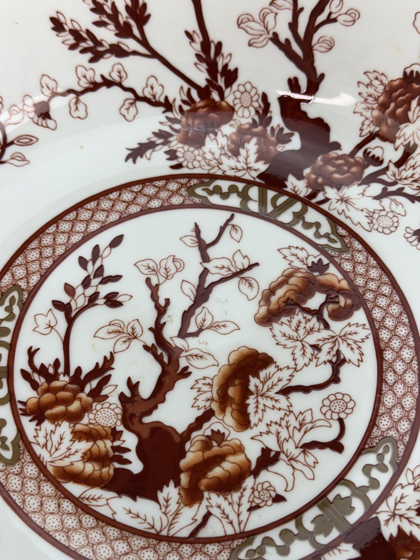 Large Serving Bowl or Fruit Bowl by Coalport India Tree Coral