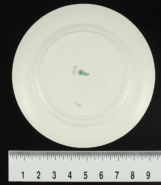 Lovely 14 Tiffany Royal Doulton Floral Luncheon Plates