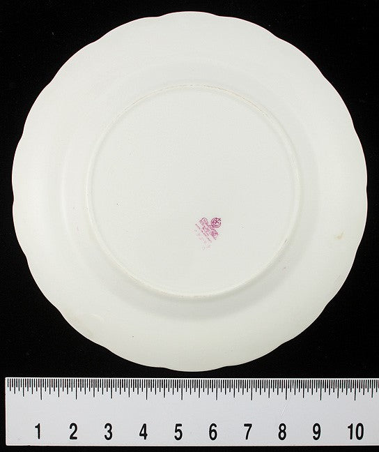 16 George Jones Pink Roses Porcelain Dinner Plates