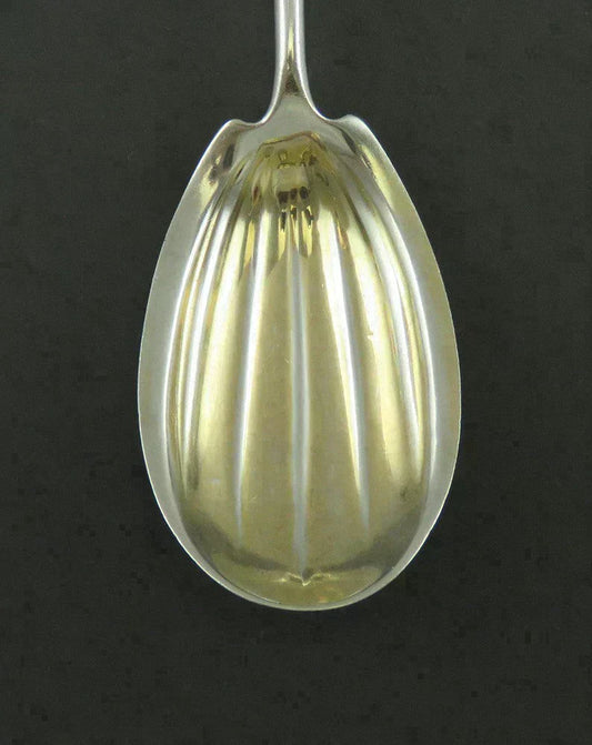 Antique Gorham Grecian 1861 Coin Silver Sugar Shell Small Serving Spoon 6"