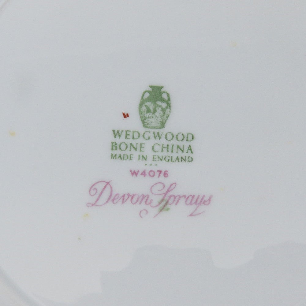 11 Wedgwood Devon Sprays Bone China Porcelain Salad Luncheon Plates 9"