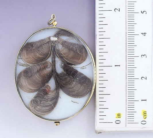 c1800-1850 Victorian 14k Gold Hand Painted Miniature Portrait Hairwork Pendant
