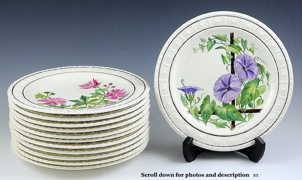 12 pc Wedgwood Hand Painted English Flower Porcelain Plates by A.J. Birks