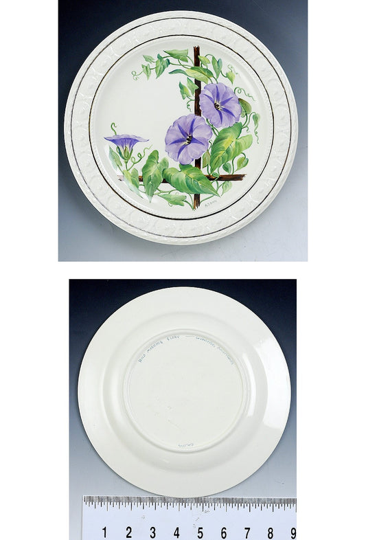 12 pc Wedgwood Hand Painted English Flower Porcelain Plates by A.J. Birks