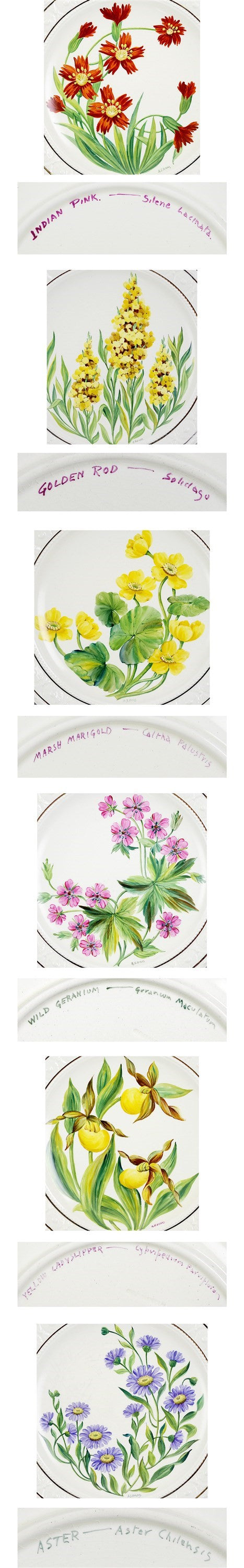 12 pc Wedgwood Hand Painted English Flower Porcelain Plates by A.J. Birks