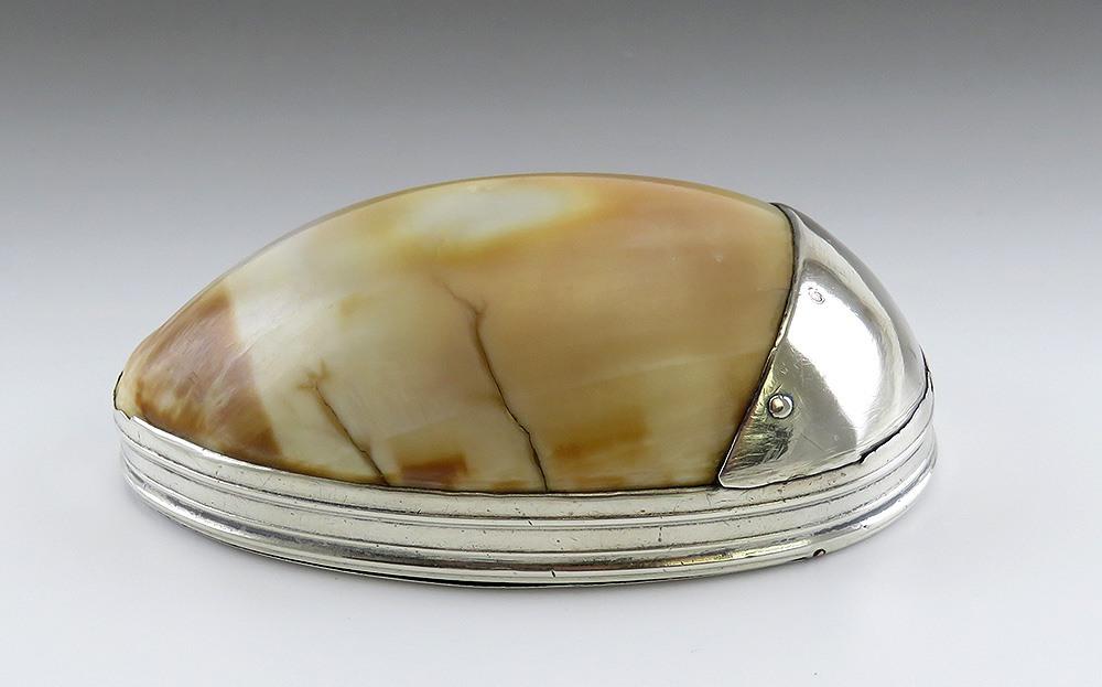 Antique 18th Century Sterling Silver Mounted Cowrie Shell Snuff Box