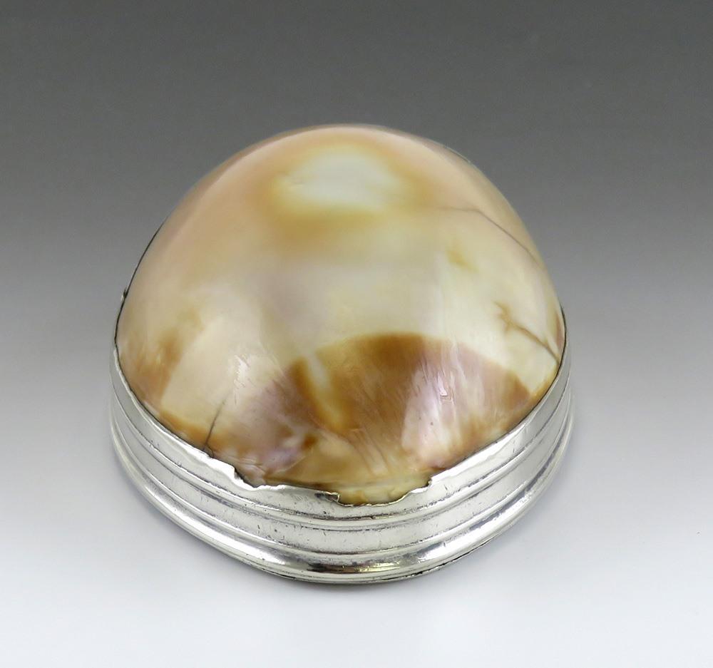 Antique 18th Century Sterling Silver Mounted Cowrie Shell Snuff Box