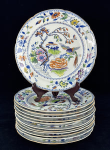 Rare Set 10 c1815 English Georgian Davenport Flying Bird 9.5" Luncheon Plates
