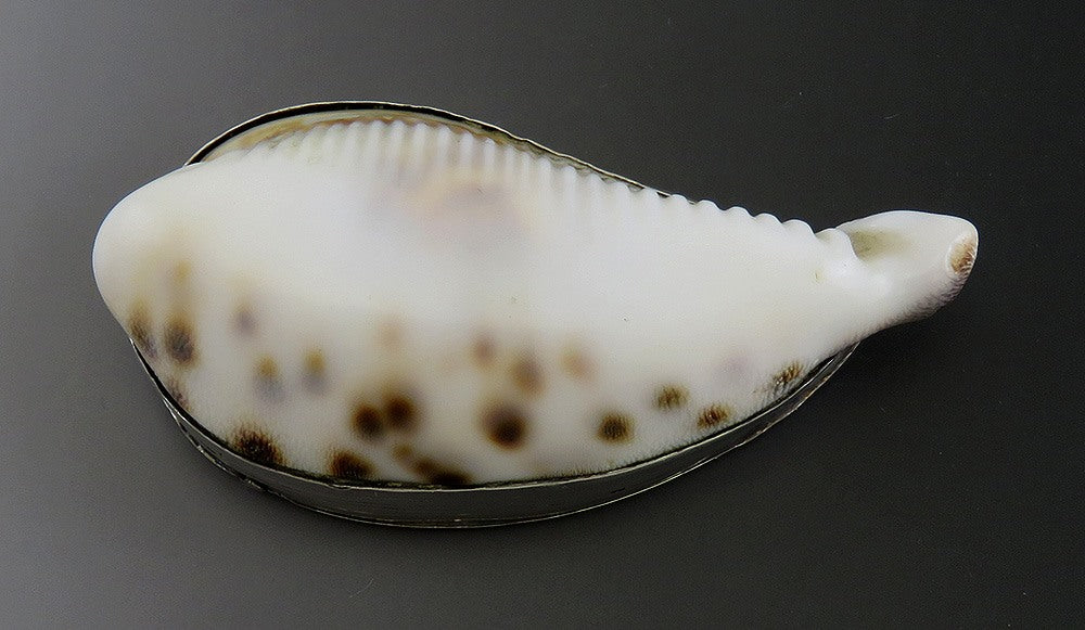Antique Sterling Silver Mounted Cowrie Shell Snuff Box 18th Century