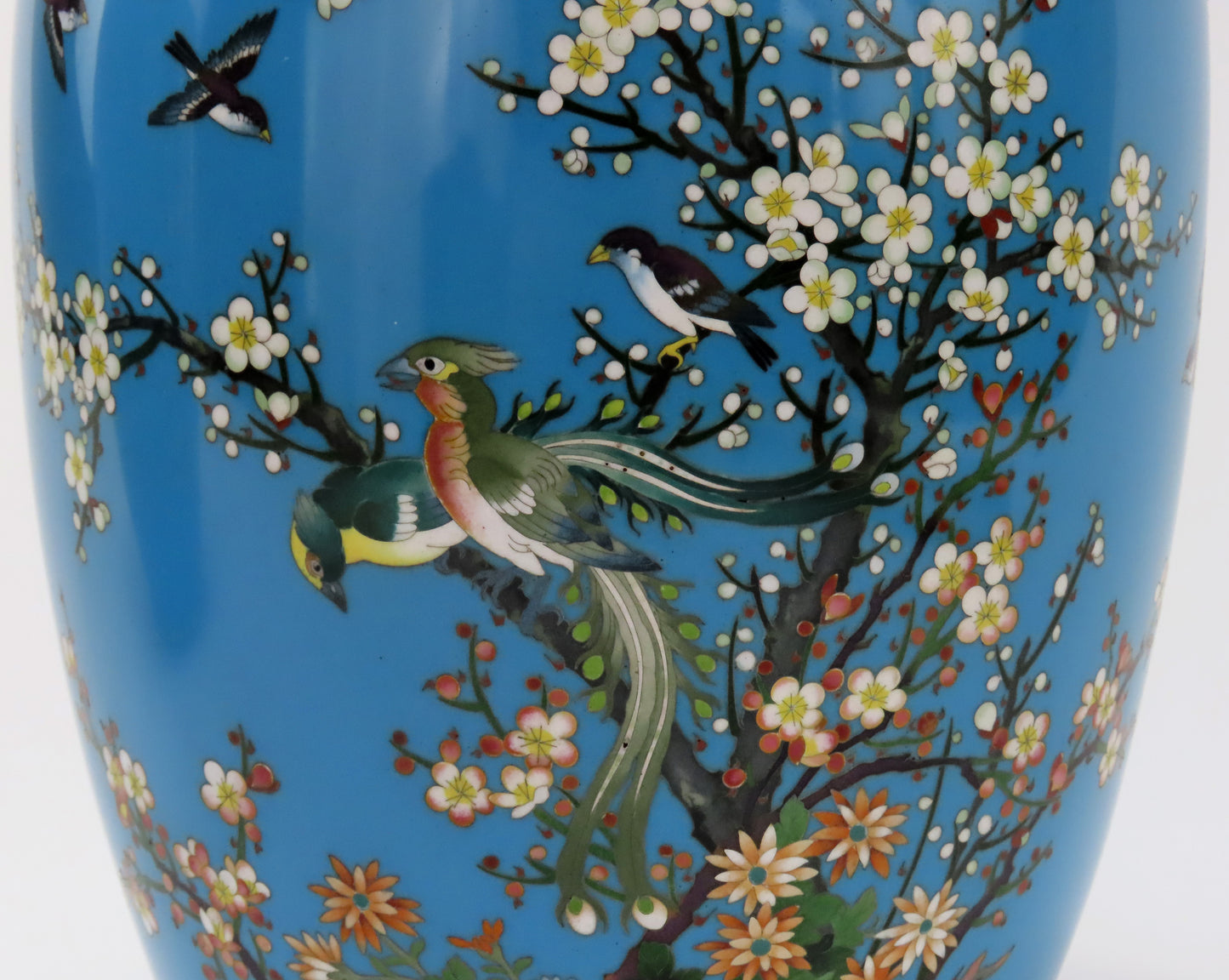 Lovely Pair Japanese Meiji Blue Cloisonne Phoenix Magpie Birds Prunus Tree Vases