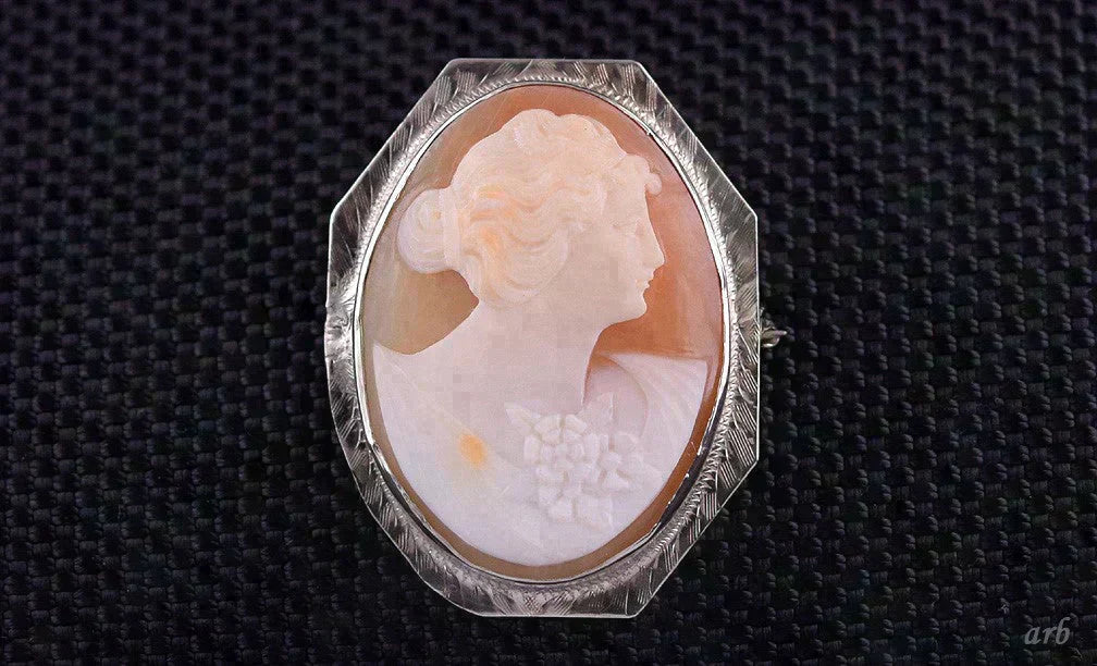 Endearing Antique 14k White Gold and Carved Shell Lovely Lady Cameo Pin