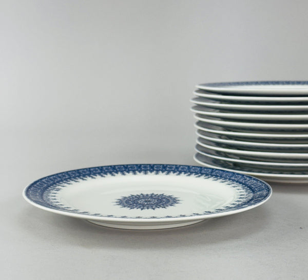 11 Antique Royal Worcester 7 Inch Plates Blue and White 1889