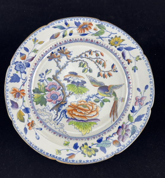 Rare Set 10 c1815 English Georgian Davenport Flying Bird 9.5" Luncheon Plates
