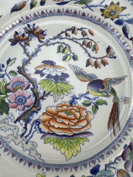 Rare Set 10 c1815 English Georgian Davenport Flying Bird 9.5" Luncheon Plates