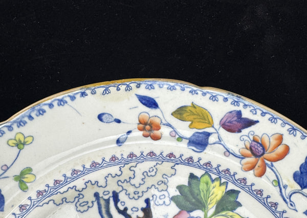 Rare Set 10 c1815 English Georgian Davenport Flying Bird 9.5" Luncheon Plates