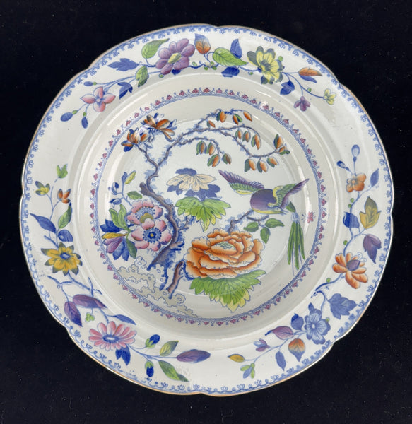 Set 12 c1815 Georgian English Davenport Flying Bird Wide Rim Soup Bowls 9.5"