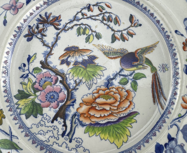 Rare Set 10 c1815 English Georgian Davenport Flying Bird 9.5" Luncheon Plates