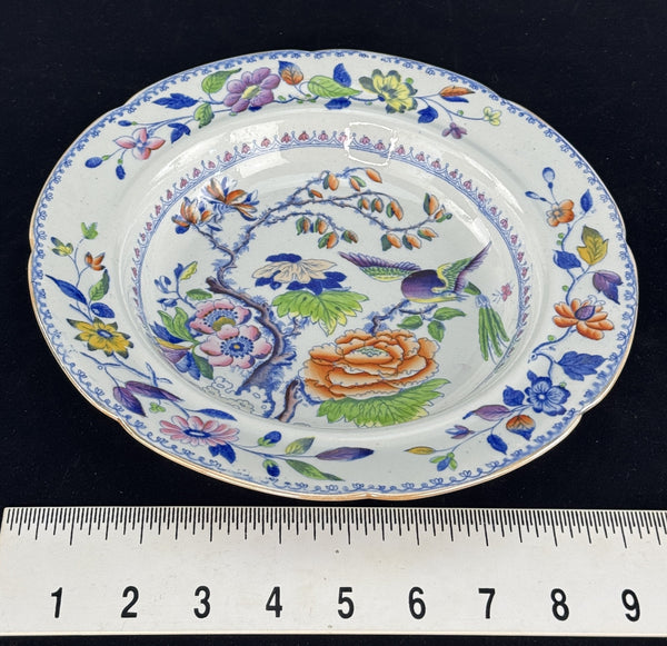 Set 12 c1815 Georgian English Davenport Flying Bird Wide Rim Soup Bowls 9.5"
