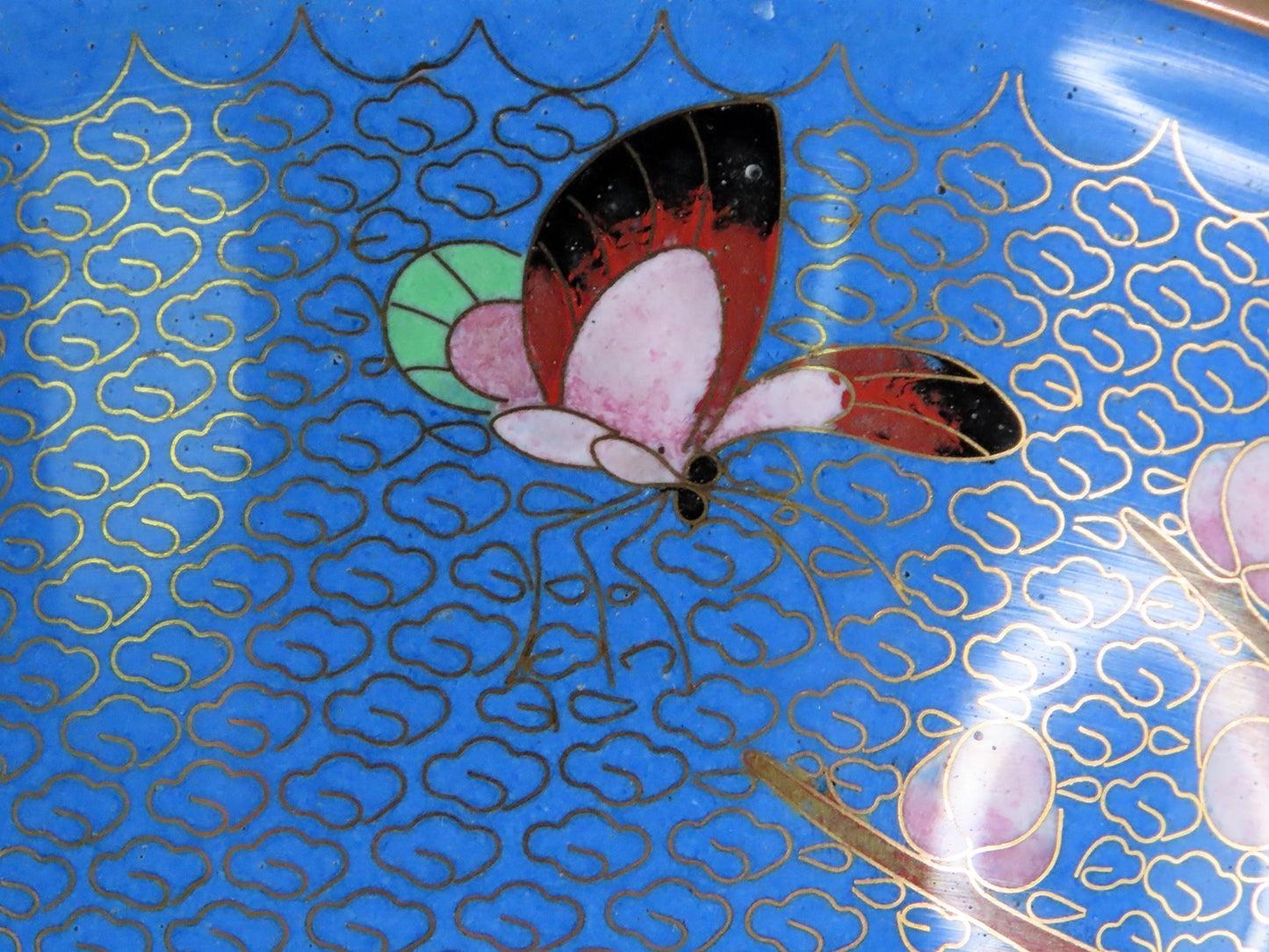 Beautiful Chinese Cloisonne 10" Bowl Prunus Cherry Plum Flowers Butterfly